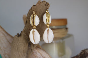 Cowrie shell gold earrings