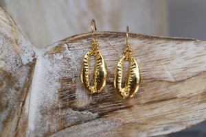 Gold cowrie shell earrings