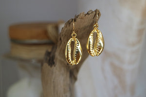 Gold cowrie shell earrings