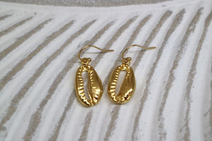 Gold cowrie shell earrings