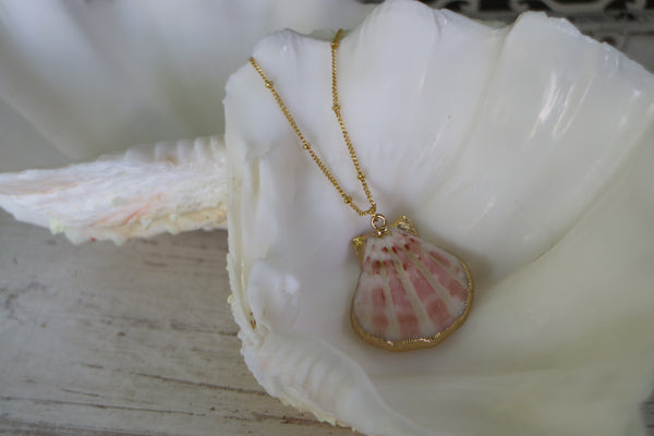 Load image into Gallery viewer, Pink and White Scallop Shell Gold Necklace
