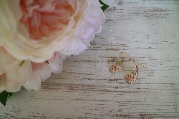 Load image into Gallery viewer, Gold conch shell earrings
