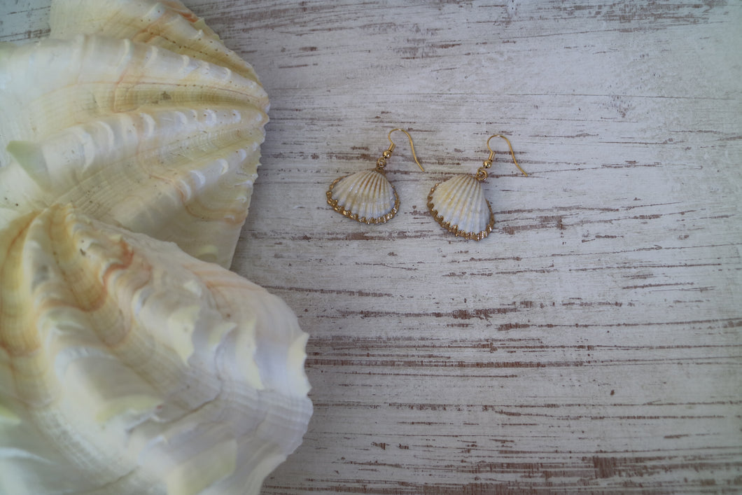 Two cockle shell gold earrings
