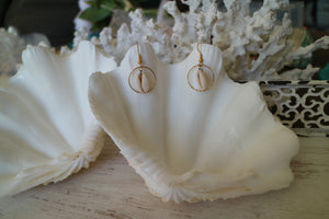 White cowrie sea shell gold earrings