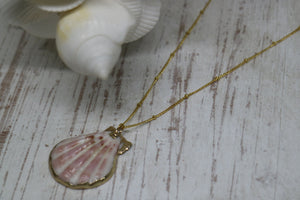 Pink and White Scallop Shell Gold Necklace