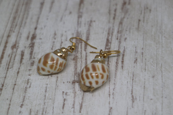 Load image into Gallery viewer, Gold conch shell earrings
