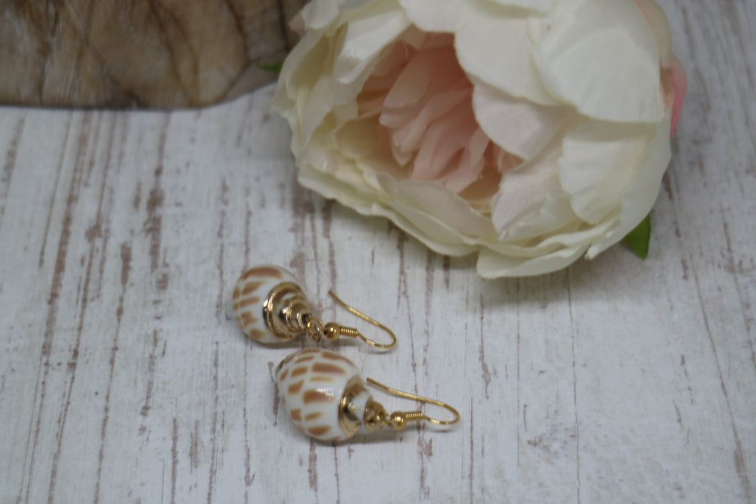 Gold conch shell earrings