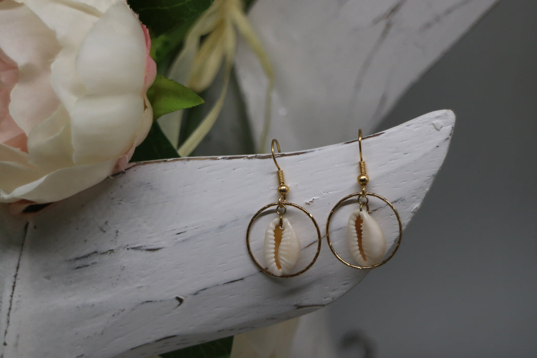 White cowrie sea shell gold earrings