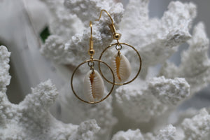 White cowrie sea shell gold earrings