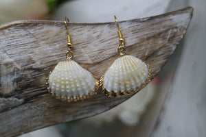 Two cockle shell gold earrings