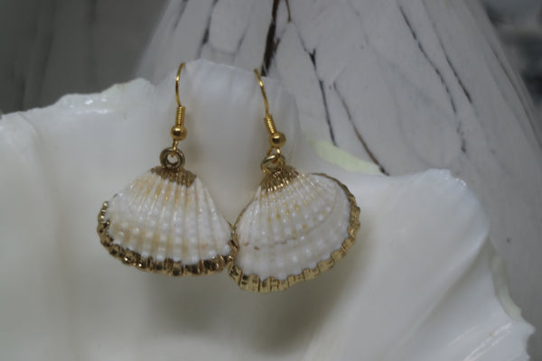 Load image into Gallery viewer, Two cockle shell gold earrings
