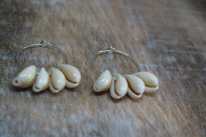 White cowrie shell silver earrings