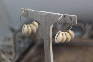 White cowrie shell silver earrings