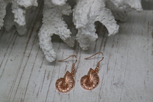 Rose gold shell earrings