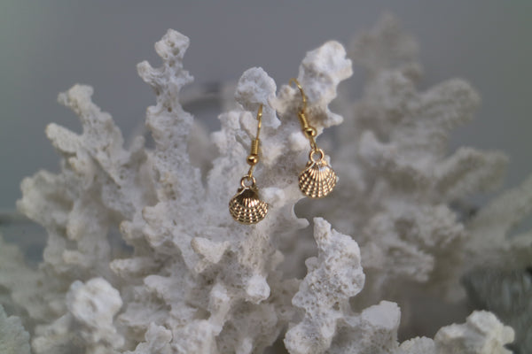Load image into Gallery viewer, Gold scallop sea shell earrings
