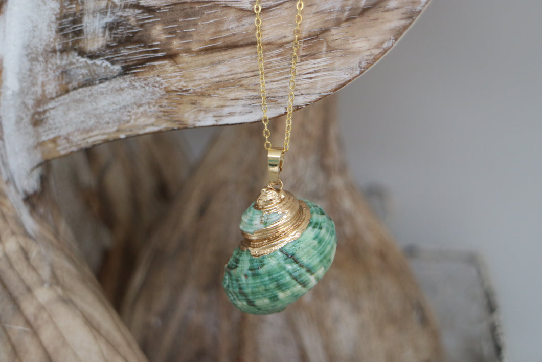 Green Conch Sea Shell Gold Necklace