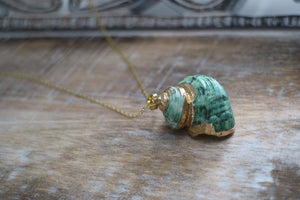 Green Conch Sea Shell Gold Necklace