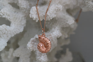 Rose Gold Shell Necklace