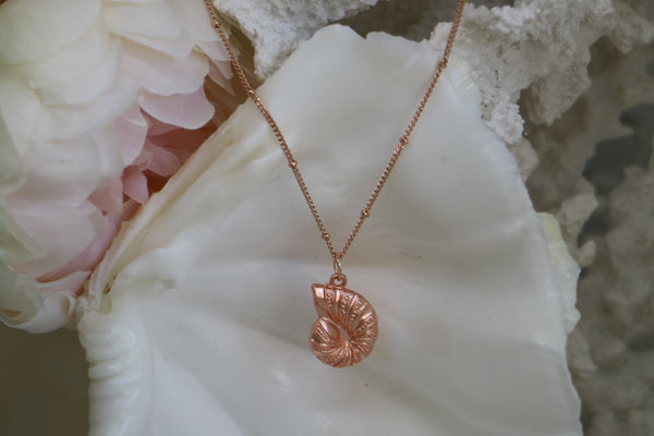 Load image into Gallery viewer, Rose Gold Shell Necklace
