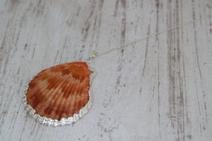 Orange Sea Scallop Shell Silver Necklace