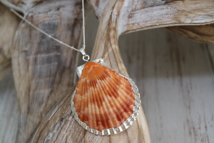 Orange Sea Scallop Shell Silver Necklace