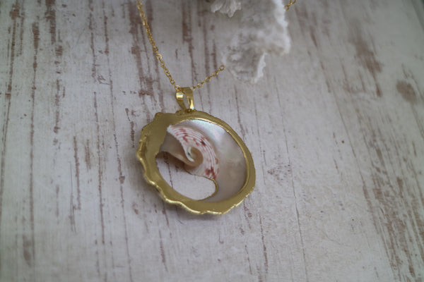 Load image into Gallery viewer, Sea Shell Gold Necklace
