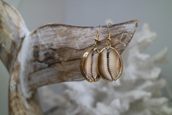 Load image into Gallery viewer, Gold shell earrings
