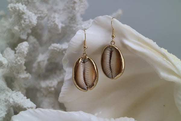 Load image into Gallery viewer, Gold Shell Earrings

