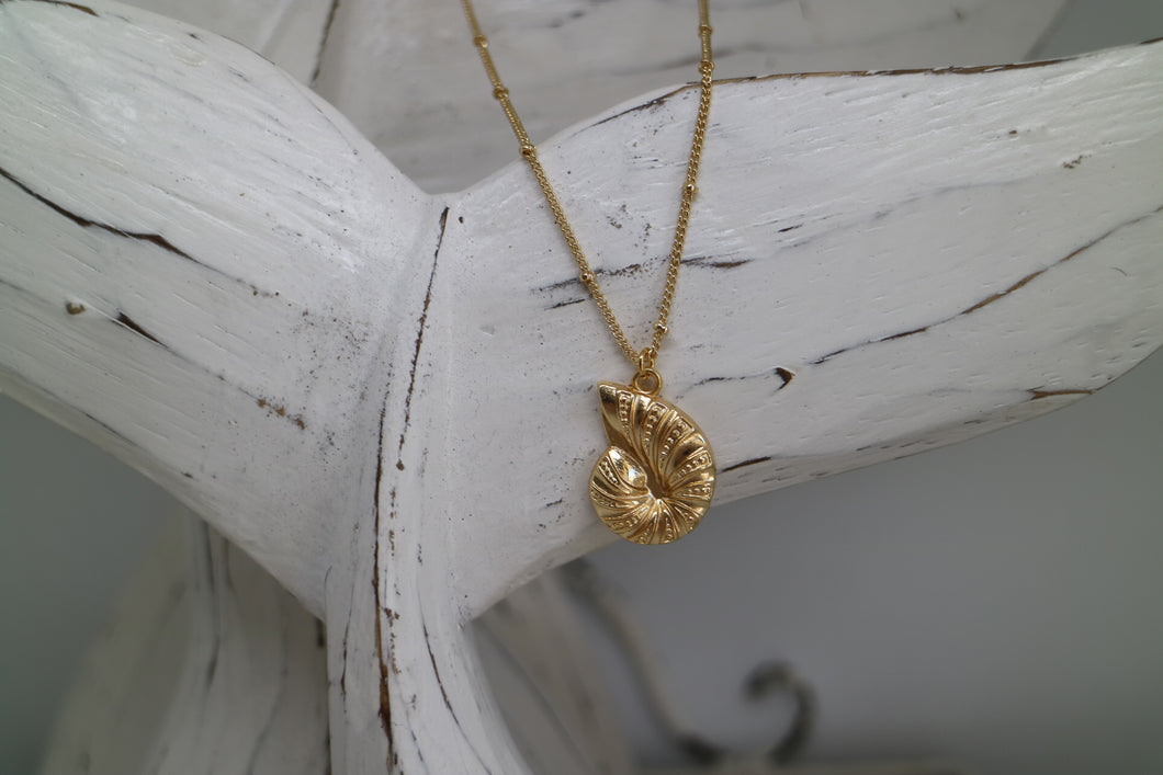 Gold Shell Necklace