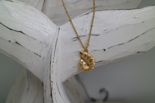 Load image into Gallery viewer, Gold Shell Necklace
