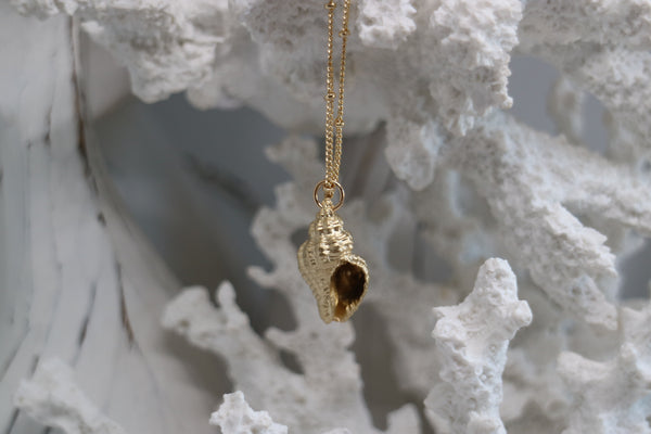 Load image into Gallery viewer, Gold Shell Necklace
