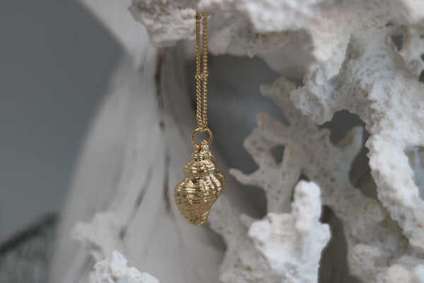 Load image into Gallery viewer, Gold Shell Necklace
