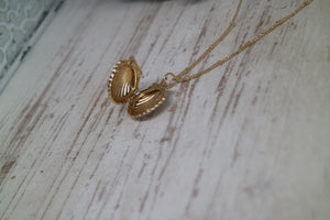 Gold Shell Locket Necklace