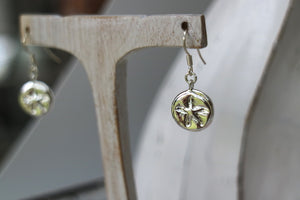 Silver starfish coin earrings