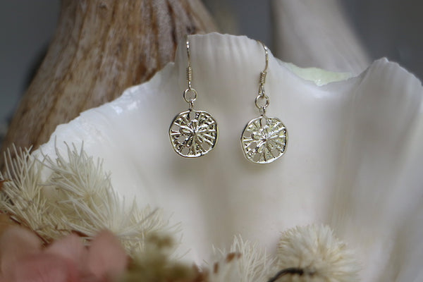 Load image into Gallery viewer, Silver sand dollar shell earrings
