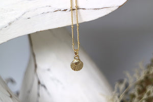 Gold scallop sea shell necklace