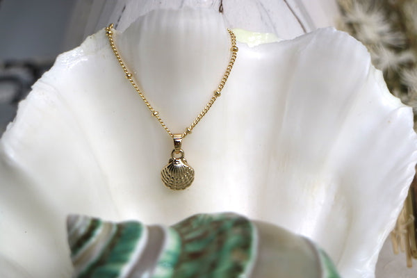Load image into Gallery viewer, Gold scallop sea shell necklace
