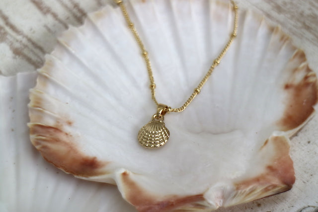 Gold scallop sea shell necklace