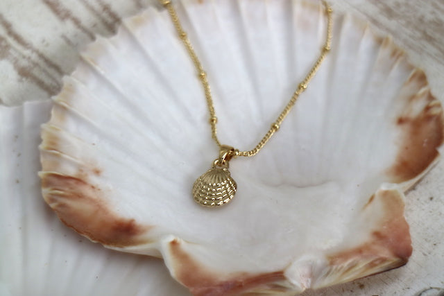Gold scallop sea shell necklace