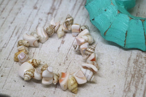 Children's sea shell bracelet