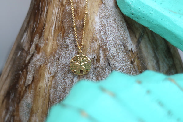 Load image into Gallery viewer, Children&#39;s 14k gold filled sand dollar shell necklace
