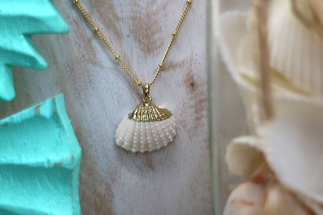 White and gold cockle shell necklace