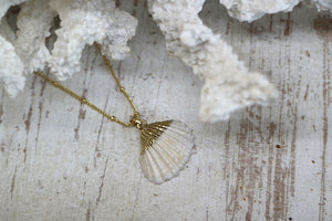 White and gold cockle shell necklace