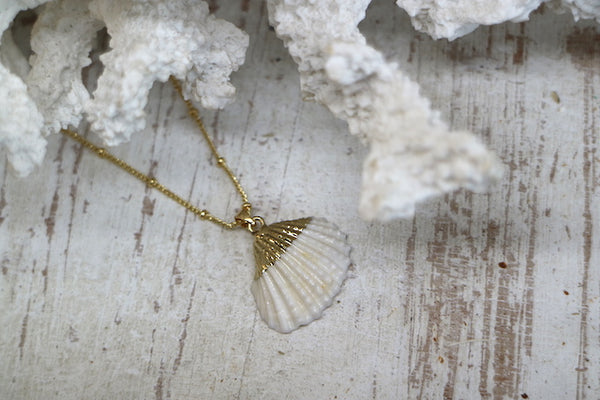 Load image into Gallery viewer, White and gold cockle shell necklace
