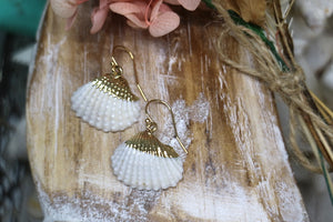 White cockle shell gold earrings