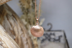 Rose gold shell necklace