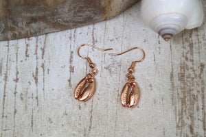 Rose gold cowrie shell earrings