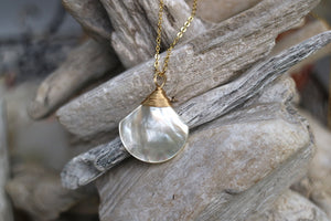 White shell wire wrapped gold necklace