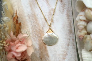 White shell wire wrapped gold necklace