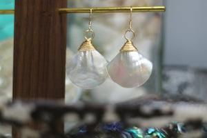 White shell wire wrapped 14k gold filled earrings